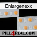 Enlargenexx 25